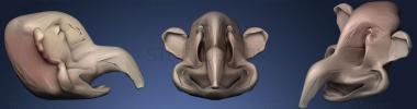 3D модель Слон на параде (STL)